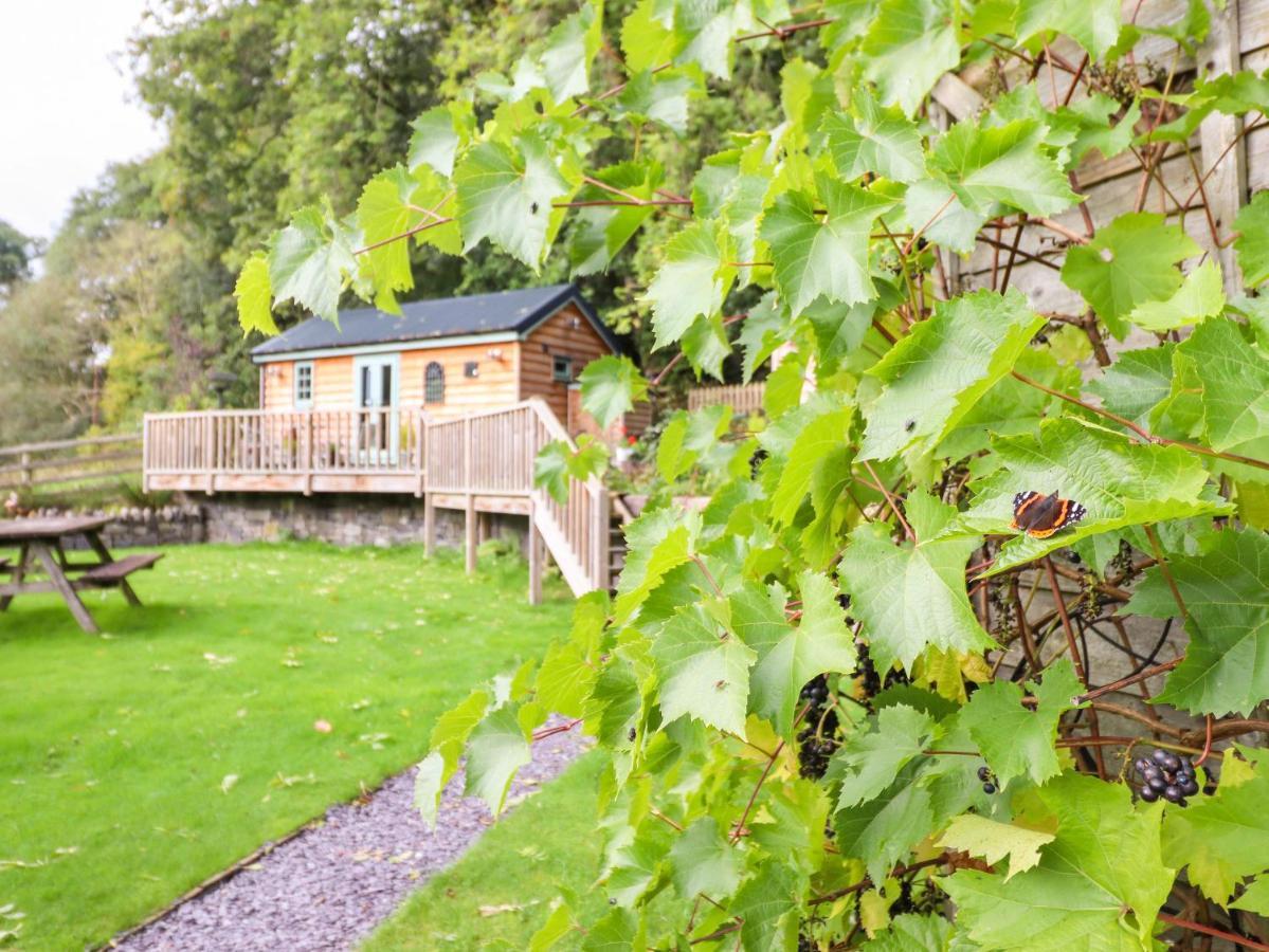 Chateau Petit Caersws Екстериор снимка